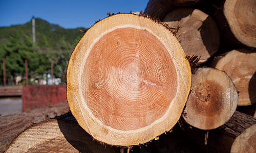 住宅木材に適した51年生以上が約60%